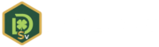 Logo Oficial DatalotoSV